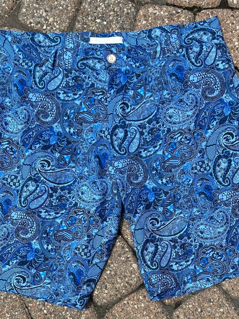 Robert Graham Blue Paisley Shorts Men's Size 34 Classic Fit